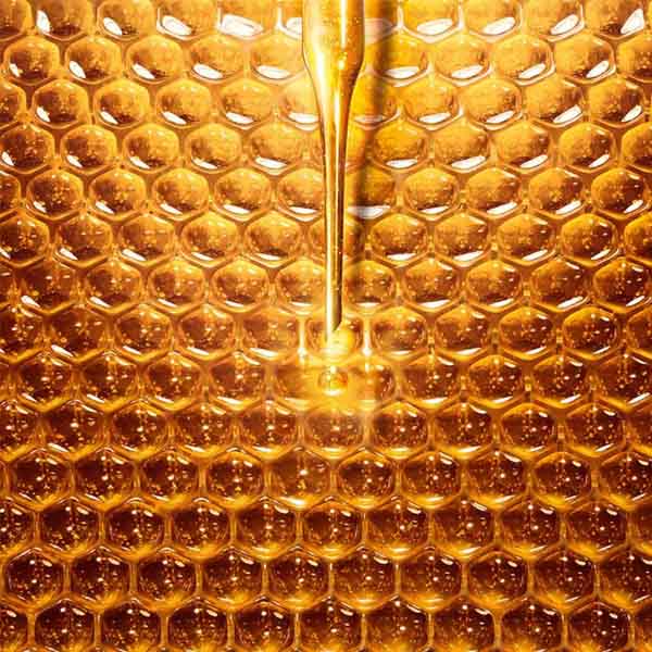 guerlain honey treatment 2 ABEILLE ROYALE HONEY TREATMENT : LA MAGIE DE LA PEAU REPULPÉE